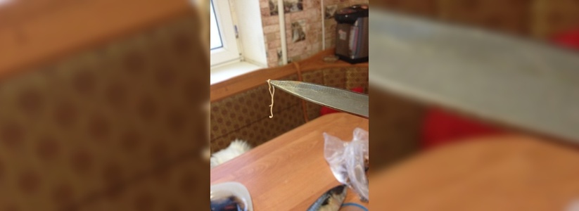 Жительница Новороссийска обнаружила червей в свежей рыбе, купленной в «Магните»
