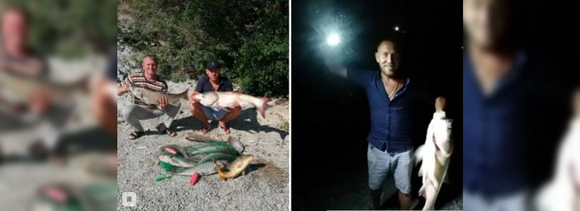 Житель Новороссийска поймал 8-килограммового толстолобика в озере Абрау под Новороссийском