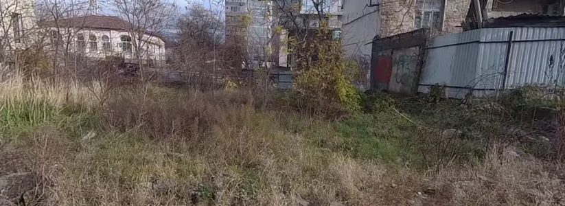 В промзоне Новороссийска высадили абрикосовый сад