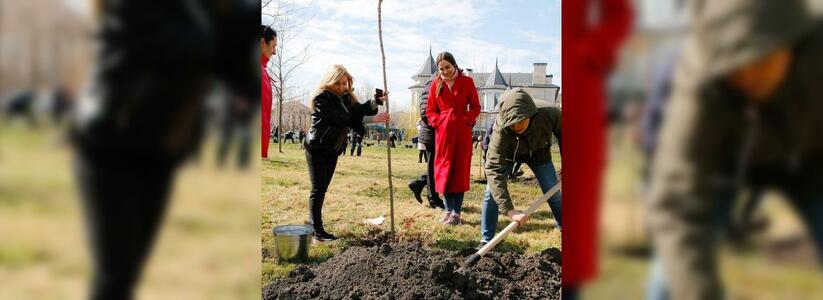 В Новороссийске волонтеры высадили 75 кленов в рамках акции «Сад Памяти»
