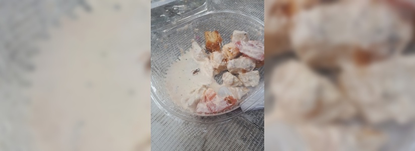 Жительница Новороссийска обнаружила таракана в салате, купленном в «Магните»
