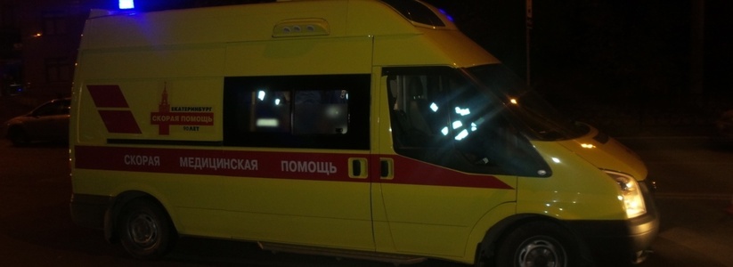Две девушки погибли на трассе под Новороссийском, пытаясь спасти собаку