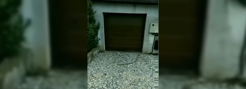 Новороссиец снял на видео, как его сосед откачивают септик прямо на улицу