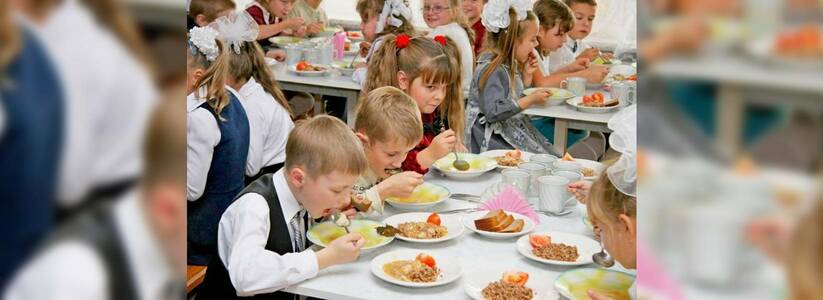 Жители Новороссийска смогут пожаловаться на питание в школьных столовых: Роспотребнадзор открыл «горячую линию»