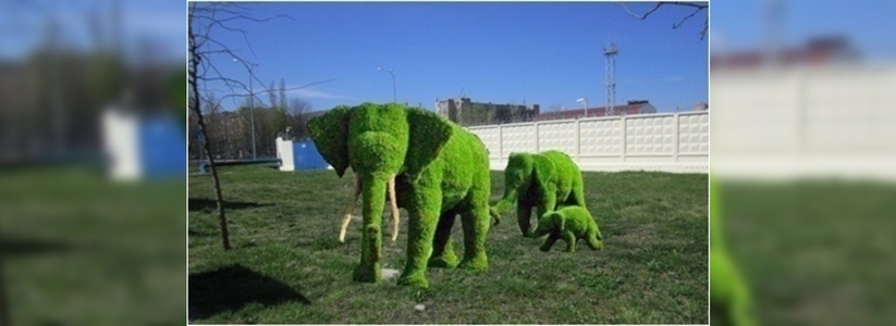 На улицах Новороссийска появятся зеленые слоны и дама с лукошком