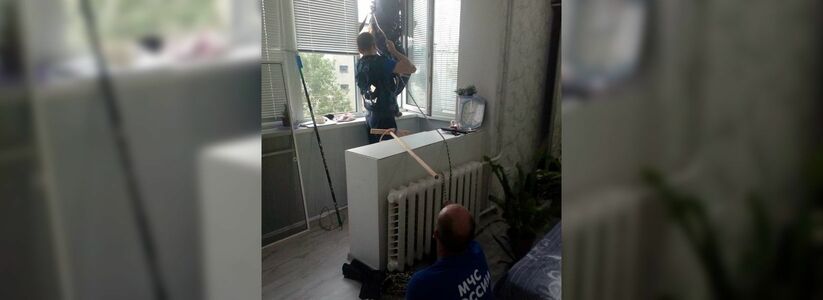 Спасатели Новороссийска эвакуировали стрижа с карниза балкона шестого этажа