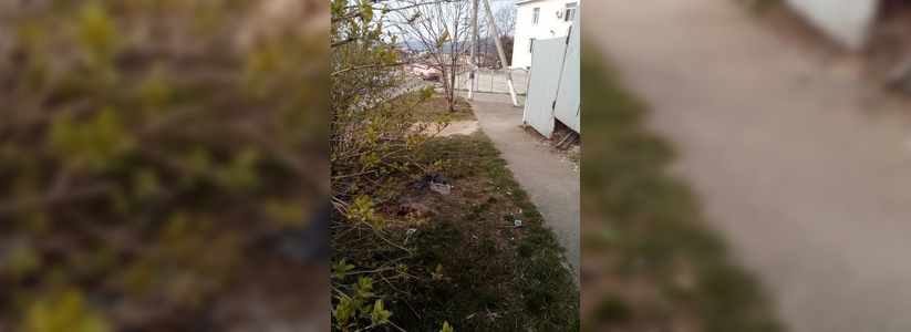 «Лежат кости и воняют»: жители Новороссийска обнаружили недалеко от горбольницы  мешок с разлагающимися останками