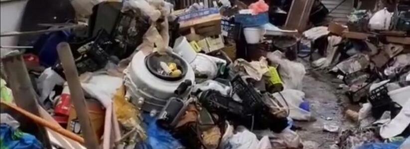 Новороссийцы хотят спасти собаку, которая содержится в ужасных условиях: двор дома завален мусором по самые окна