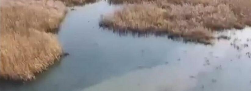 Ушел на охоту и не вернулся: в пруду под Новороссийском обнаружено тело мужчины