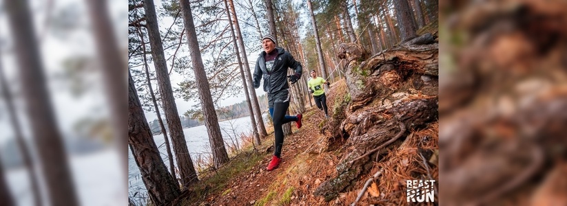 Под Новороссийском пройдет забег по горным тропам «Beast Run Abrau Trail»