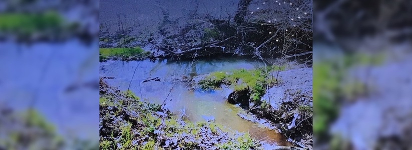 «Два года назад воду можно было пить, а сейчас она непригодна даже для технического использования»: власти Новороссийска будут искать источник загрязнения реки Цемес