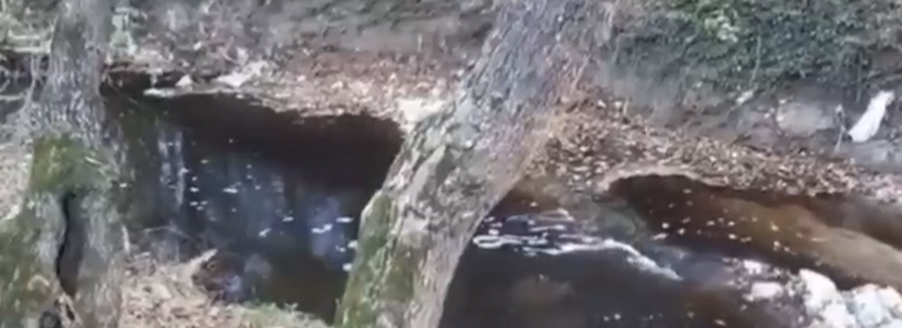 «Вода коричневая и пенится»: новороссийцы сняли на видео слив нечистот в реку Цемесс
