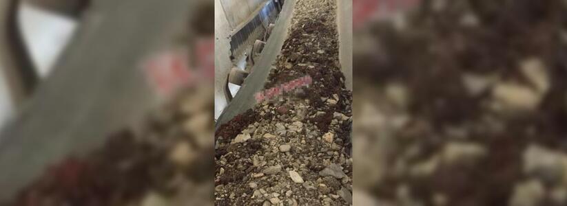 На цемзаводе под Новороссийском погиб рабочий: мужчина попал в станок для переработки каменной породы