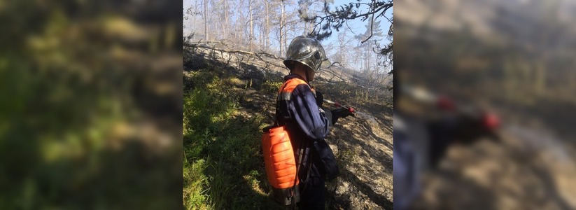 В Новороссийске несколько часов тушили лесной пожар на площади 0,5 гектара: 10 фото работы спасателей