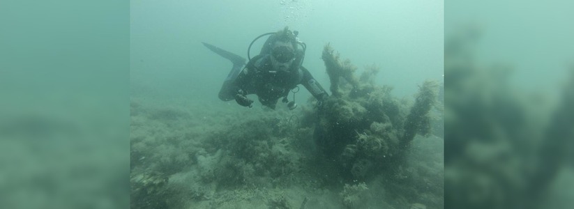 Ученые нашли жизнь в «мертвом» слое Черного моря