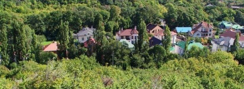 Власти Новороссийска попытались вывести земли в Мысхако из лесного фонда