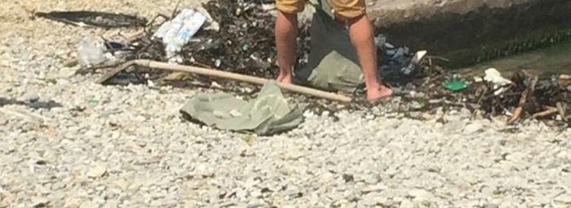 «Кучи мусора и септик стекают в море из ливневок:» замглавы объяснил, почему в Новороссийске грязные пляжи