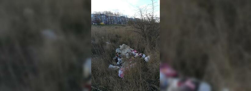 "Плакать хочется". В Новороссийске почти сразу после массового субботника на Прилагунье появились кучи мусора