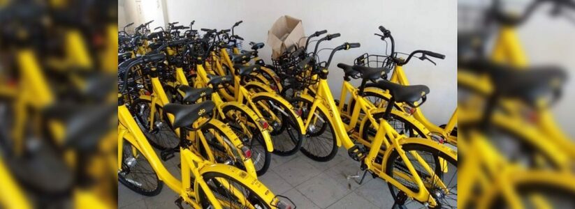 В Новороссийск прибыли новые велосипеды для реализации проекта «велошеринг»