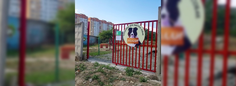 На выходных в Новороссийске откроют площадку для выгула собак