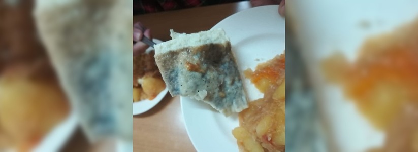 В Новороссийске в одной из школ детей кормили «синим омлетом»