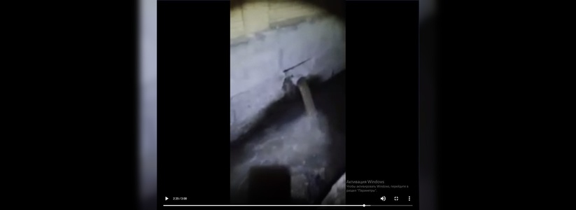 «Вонь, мертвые птицы и крысы»: новороссиец спустился в ливневый коллектор и снял на видео врезку, через которую в море спускают канализацию