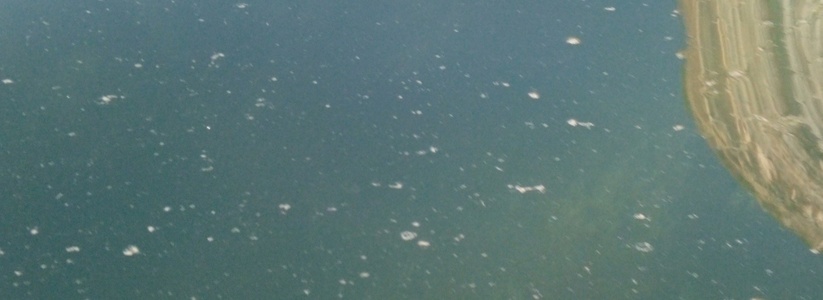 «На берегу труба, а посреди моря фонтан»: туристы сняли на видео, как под Новороссийском в море сливают нечистоты