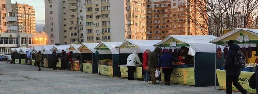 Новые пакеты, баннеры и палатки: ярмарки выходного дня в Новороссийске ждет ребрендинг