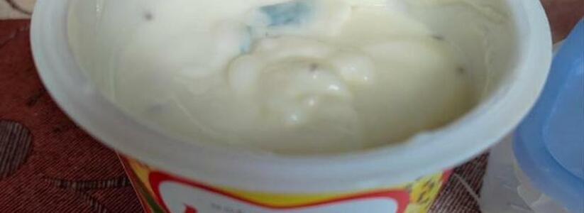«Чудо, а не йогурт!»: жительница Новороссийска купила йогурт с плесенью в одном из сетевых магазинов города