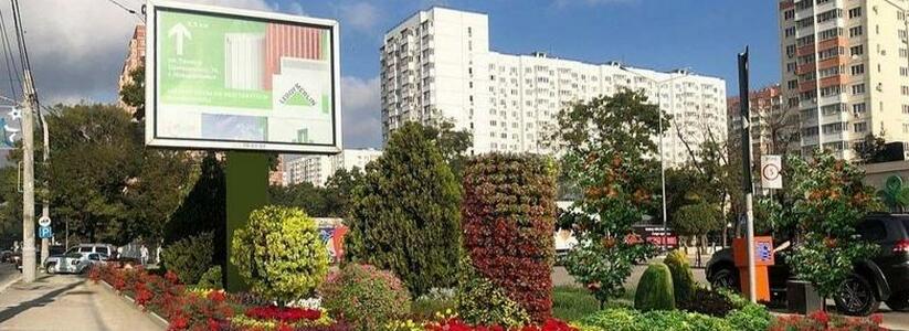 Лавандовые поля и зеленые кровли: главный архитектор Новороссийска рассматривает варианты озеленения города