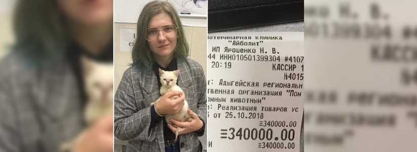 На Кубани девушка оплатила долг приюта для бездомных животных в размере 340 тысяч рублей ради спасения котенка