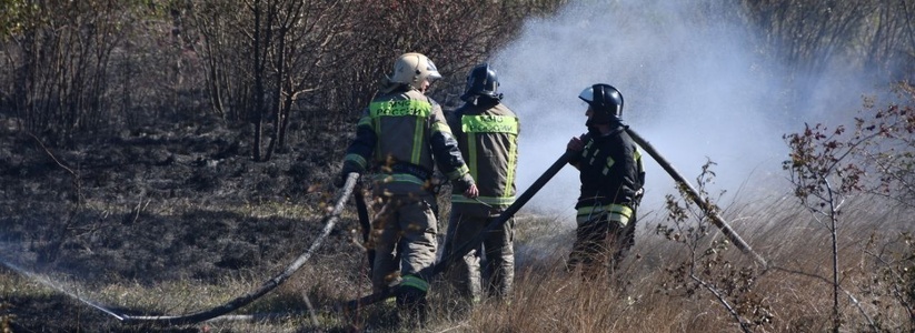 Рядом с Суджукской лагуной Новороссийска вспыхнул пожар
