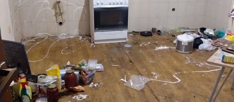 «Все загажено, в мисках опарыши»: квартиранты превратили арендованный в Новороссийске дом в передержку для бездомных собак без ведома хозяев