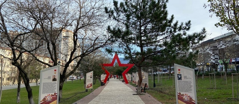 Роща гинкго билоба появится в сквере 75-летия Победы в Южном районе Новороссийска 