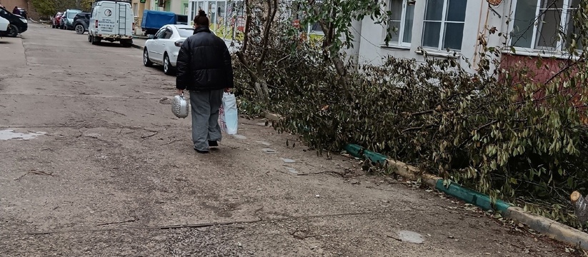 В Новороссийске вместо цветущей вишни в Южном районе остались обрубки
