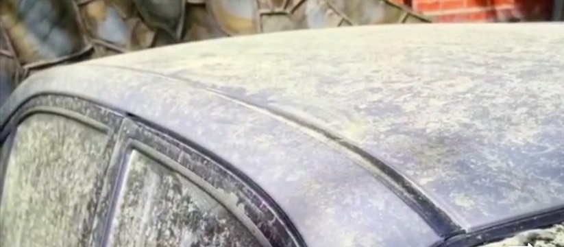  В Геленджике автомобили покрылись толстым слоем зеленой пыли