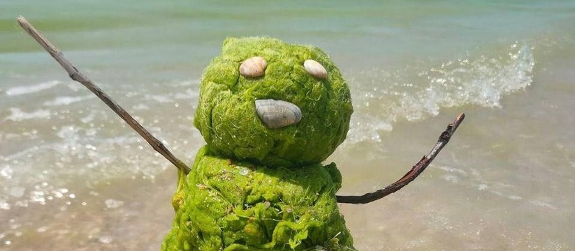 Видеоролик опубликован в социальных сетях.В этом году из-за аномальной теплой весны и жаркого начала лета море в Анапе зацвело раньше времени.