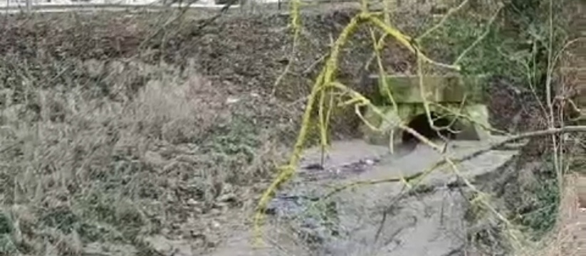 Местные жители сняли загрязнение водного объекта на видео.Жители села Глебовка под Новороссийском заметили, что в реку из трубы вытекает черная жижа.