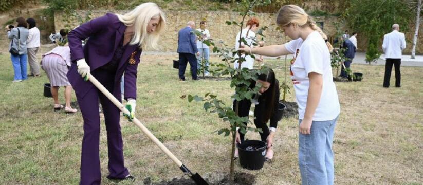 В Новороссийске посадили ещё больше деревьев