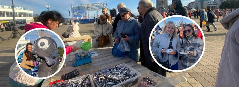 Бесплатная рыбка, плов с морепродуктами и толпы людей: как в Новороссийске проходит фестиваль хамсы 