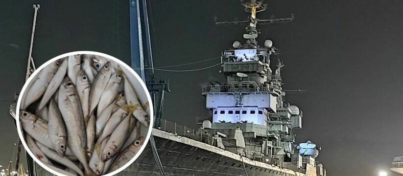 Новороссиец наловил рыбы в канализационном сливе рядом с крейсером "Михаил Кутузов" - горожане добычу забраковали