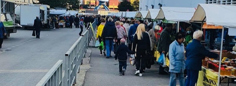 Народная воля: власти Новороссийска согласились сделать дополнительный день для предновогодней ярмарки на Леднева