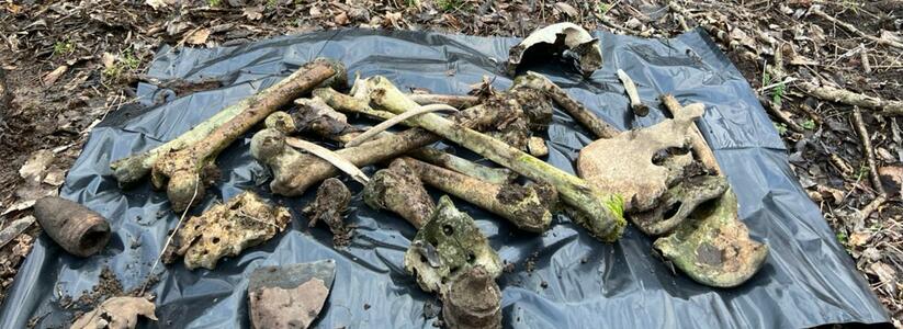 В горах Новороссийска поисковики обнаружили останки солдат времен Великой Отечественной войны и минометные мины