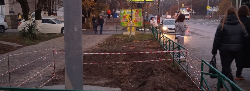 Вышки сотовой связи у троллейбусного депо в Новороссийске не будет: власти прокомментировали вырубку деревьев на Анапском шоссе