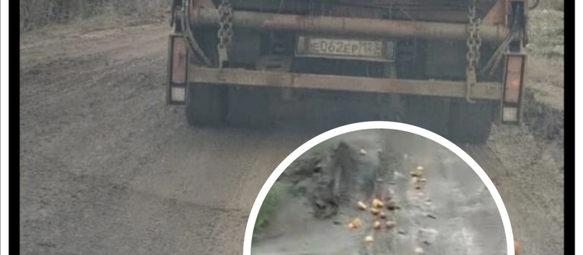 Апельсиновый рай: улица Нины Марухно в Новороссийске оказалась усыпана гнилыми цитрусами после рейса очередного мусоровоза