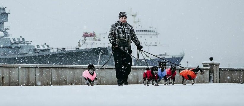 Новогодняя сказка местного Невского и романтика пустынной набережной: куда сходить туристам в зимнем Новороссийске? 