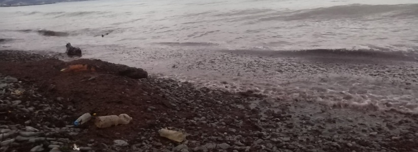 «Море словно каберне!»: новороссийцев удивил цвет морской воды