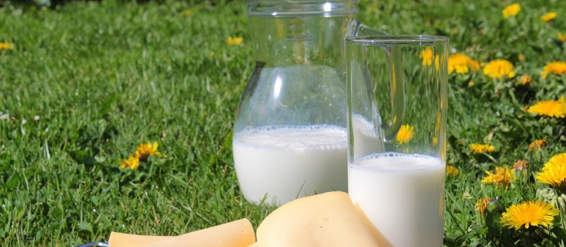Пальмовое масло в молоке: Роскачество рассказало, какую молочку не стоит покупать