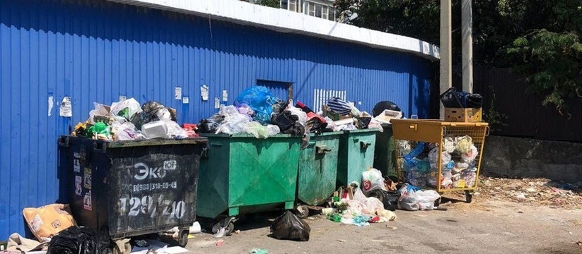 «Постоянно срач и вонь!»: жители элитного поселка под Новороссийском жалуются на переполненные мусорные контейнеры