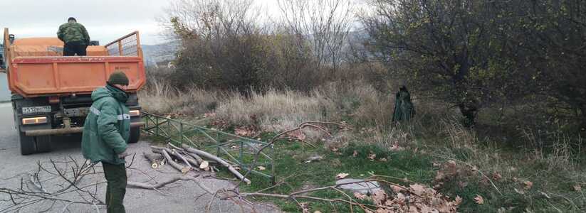 В Новороссийске в «Прилагунье» вырубают деревья и кустарники